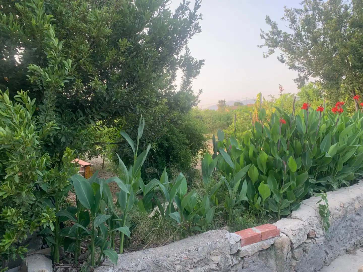 Finca rústica en venda a Alquerías