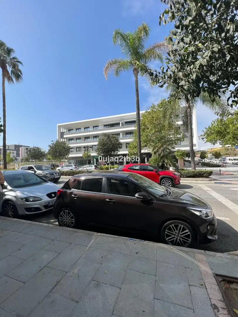 Local comercial en alquiler en San Pedro de Alcántara, imagen 16
