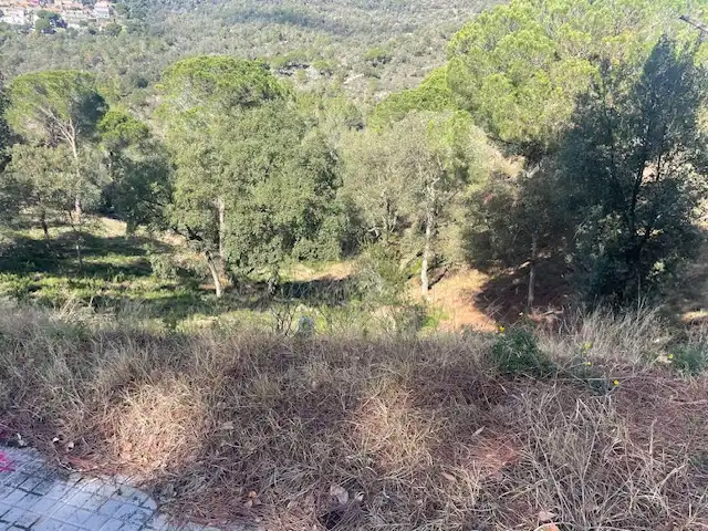 Terreno residencial en venta en Mas Mora - Sant Daniel, imagen 2