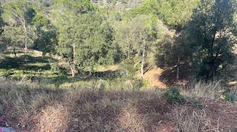 PARCELAS SANT DANIEL, Bild 2
