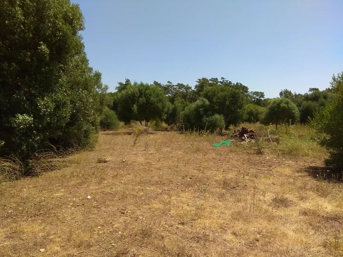 Terreno rustico in vendita a San Bernabé, imagen 14