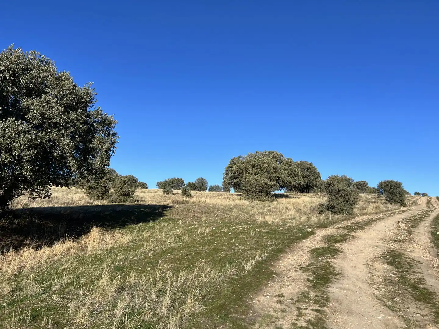 Terrenys i solars en venda a Villacastín, imagen 18