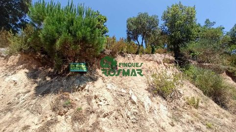 Foto 4 de Residencial en venda a Bellmunt, 10, Lloret Verd - Els Pinars, Lloret de Mar