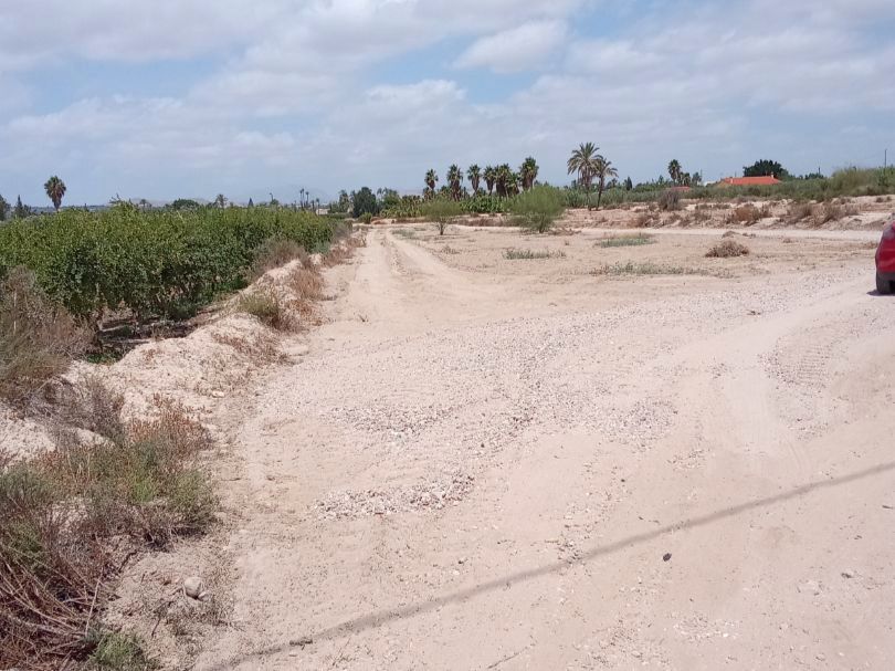 Land for sale in Elche / Elx