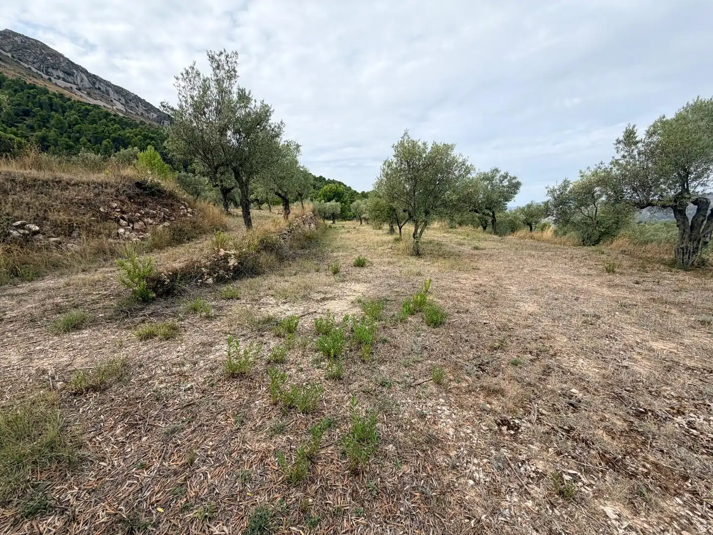 Residencial en venta en Fageca, Alicante