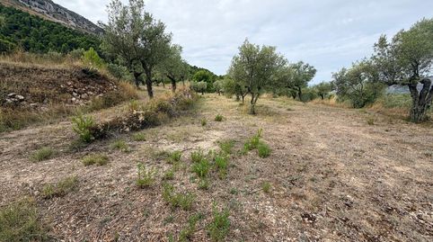 Venta parcela rustica en FachecaAlicante, immagine 4