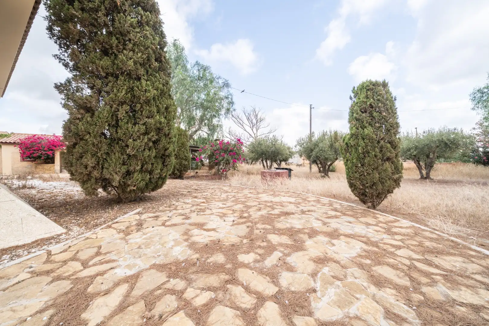 Jardí de Casa o xalet en venda en Cartagena amb Jardí privat, Traster i Piscina