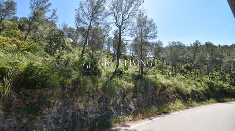 TERRENO EN MAS MESTRE, OLIVELLA, immagine 5