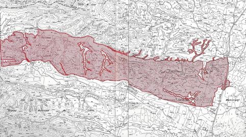 Image 1 de l'annonce