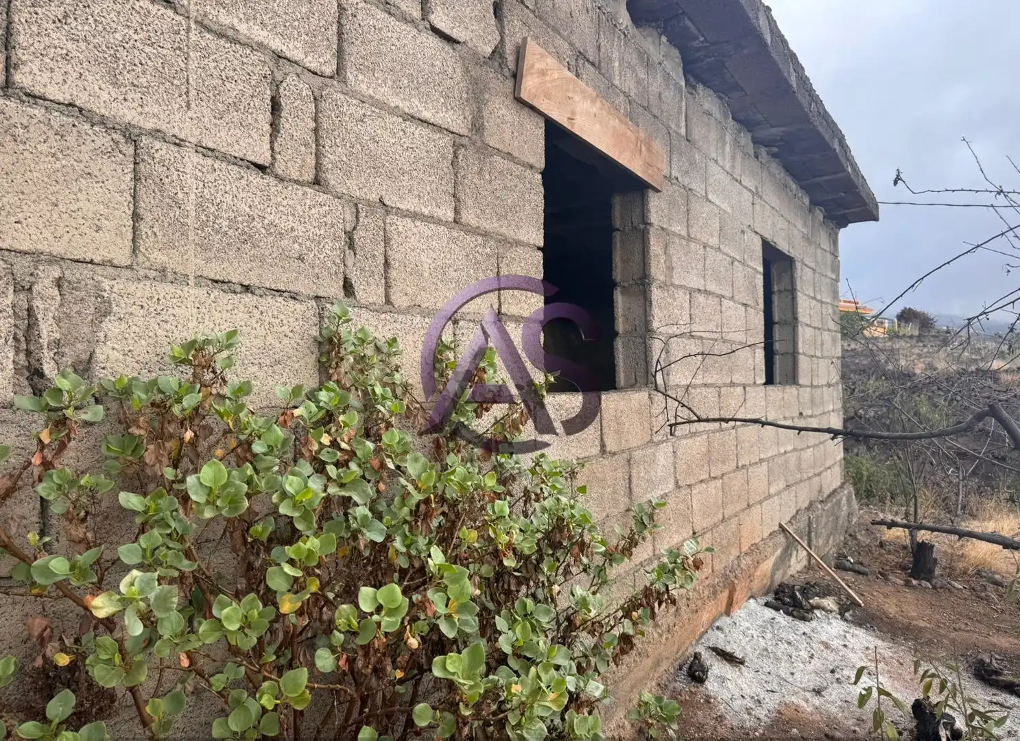 Rural land for sale in Arafo, imagen 5