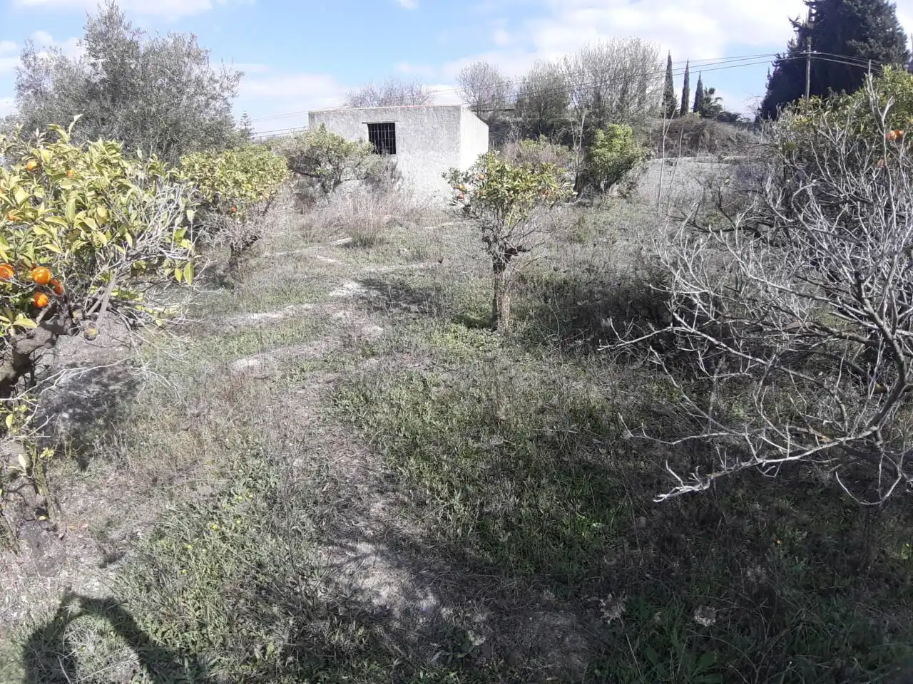 Terreni e lotti in vendita a Calle camino coin
