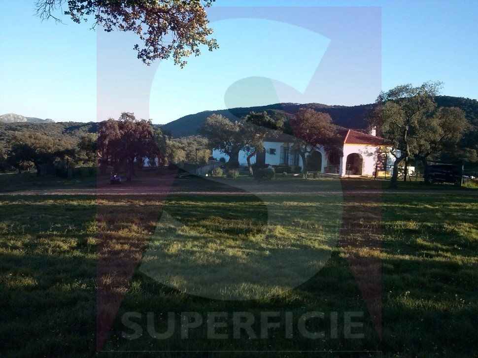 Exterior view of Land for sale in Villanueva del Rey