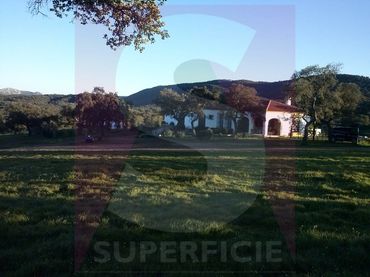 Terreno rustico in vendita a Calle Julio Romero de Torres