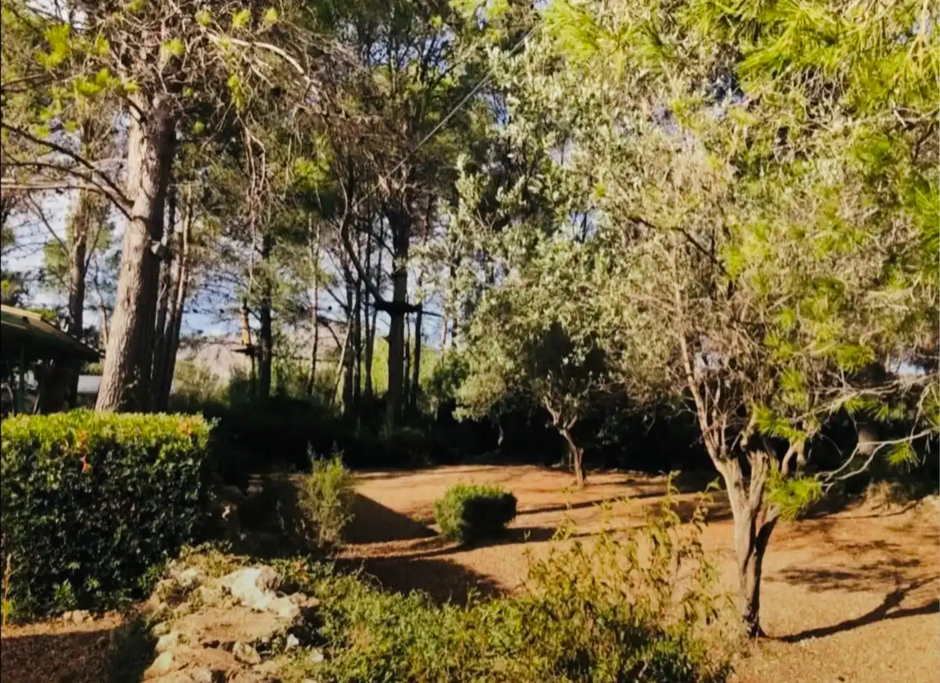 Jardín de Casa o chalet en venta en Parcent con Jardín privado, Terraza y Trastero