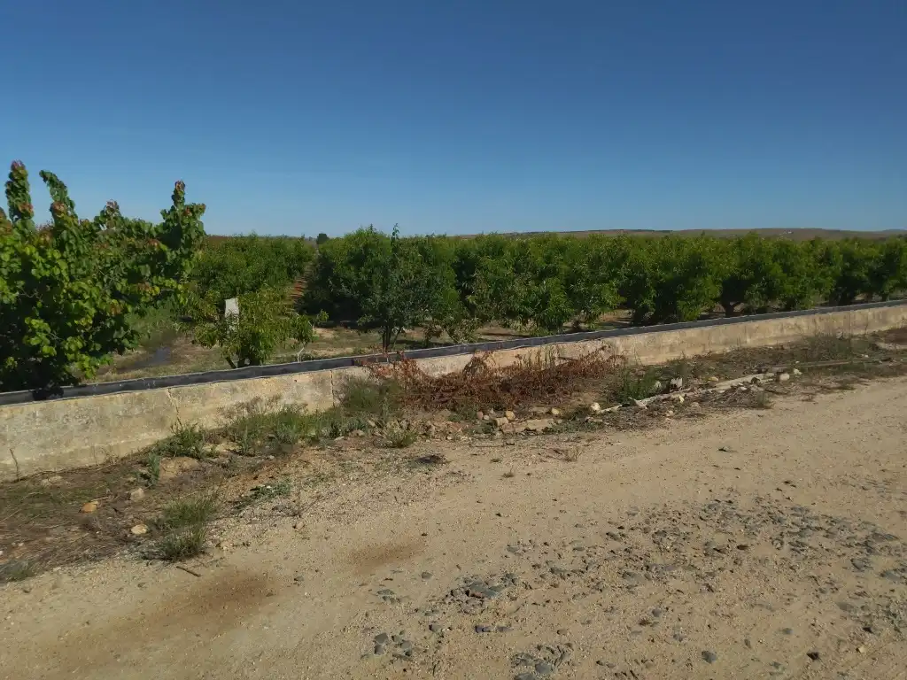 Terreno en venta en Campo Lugar