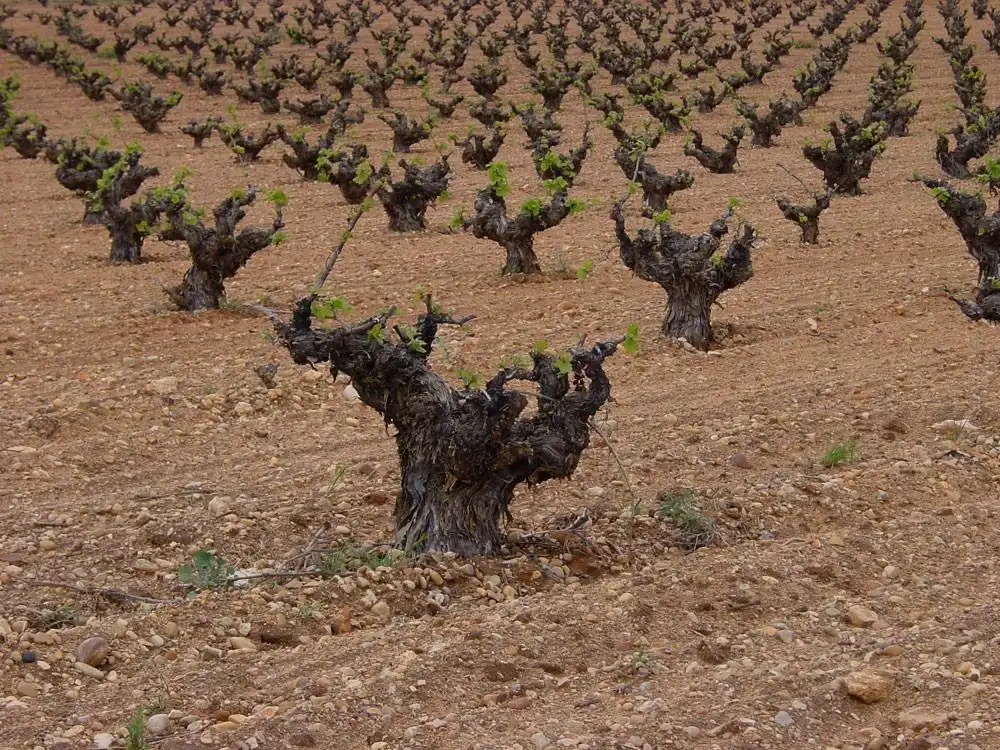 Terreni e lotti in vendita a Alange, imagen 17