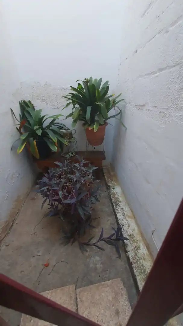 Garten von Geschaftsraum zum Verkauf in Barcelona