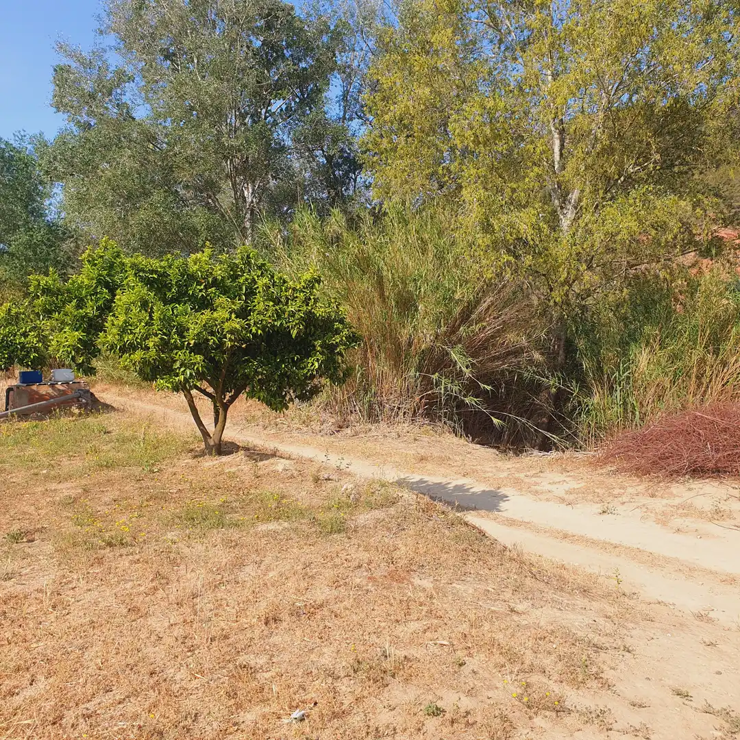 Terrain rustique à vendre à Rasquera, imagen 6