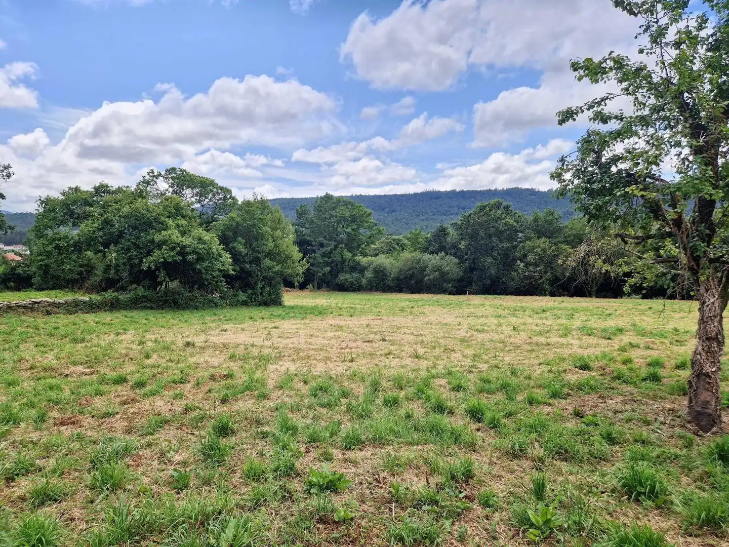 Grundstücke und Bauplätze zum Verkauf in Área de Ames