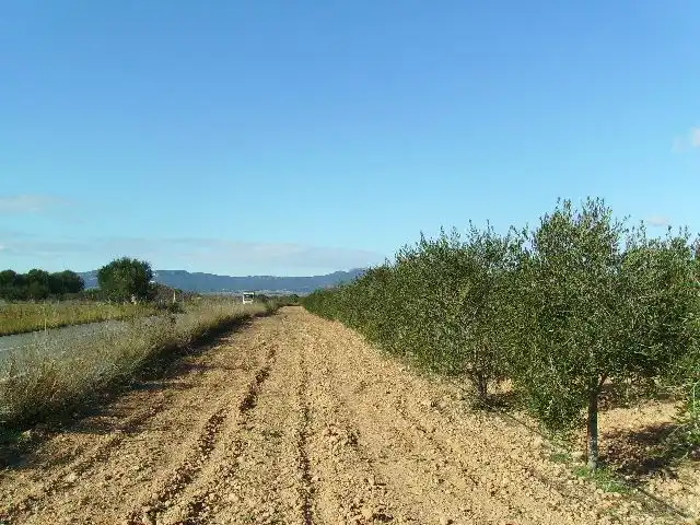 Land for sale in Vila-rodona