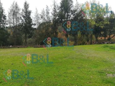 Casa en venta en Jabugo