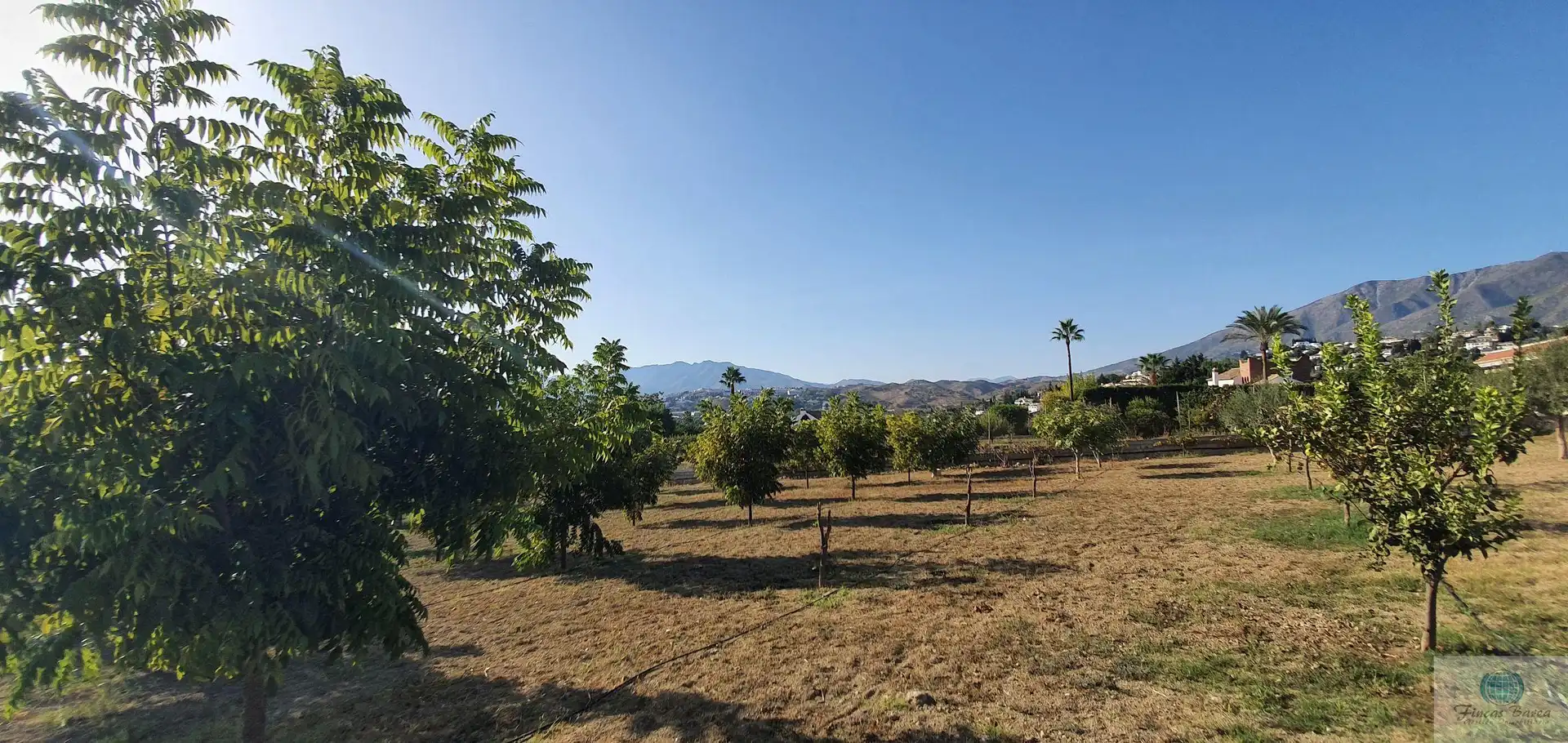 Casa rústica en venda a Campo de Mijas, imagen 33