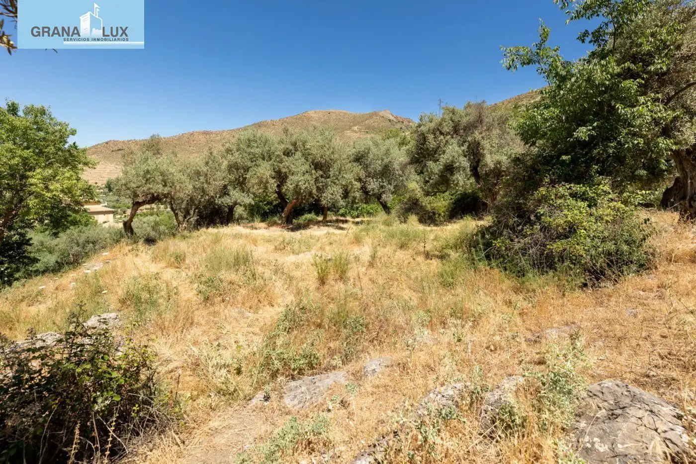 Lands and plots for sale in Calle FUENTE 16 CAÑOS, imagen 19