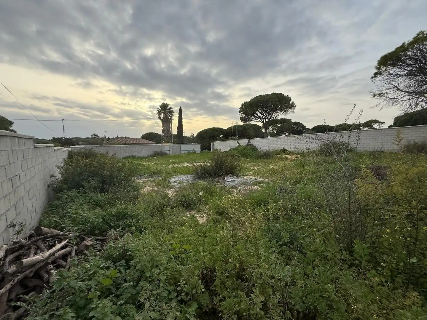 Rustikales Grundstück zum Verkauf in Las Lagunas - Campano, imagen 2