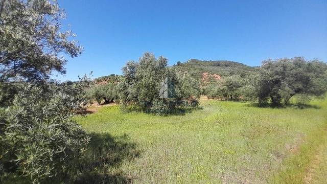 Terreno residencial en Venta en . en Sorihuela del Guadalimar