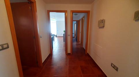 Photo 5 of Flat for sale in Calle Perdiz, Corralejo, Las Palmas
