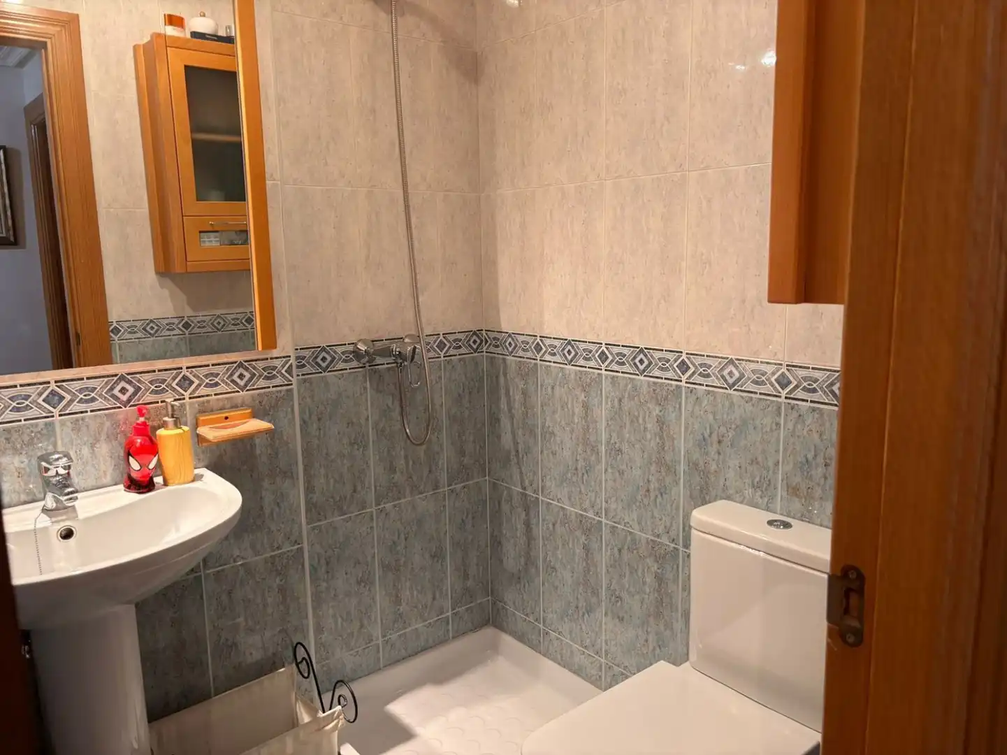 Bany de Casa o xalet en venda en Salamanca amb Terrassa