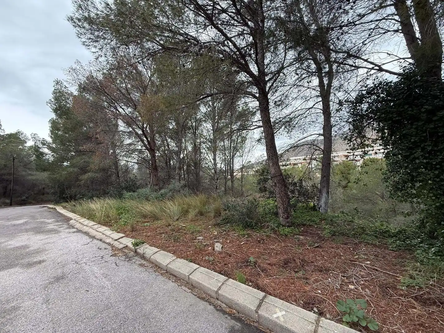 Terreny residencial en venda a Erica