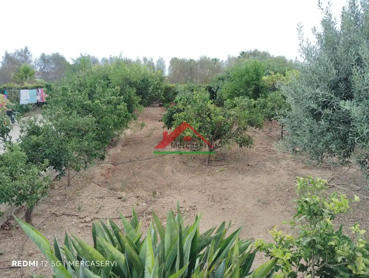 Casa o chalet en venta en Vinaròs con Aire acondicionado, Calefacción y Terraza