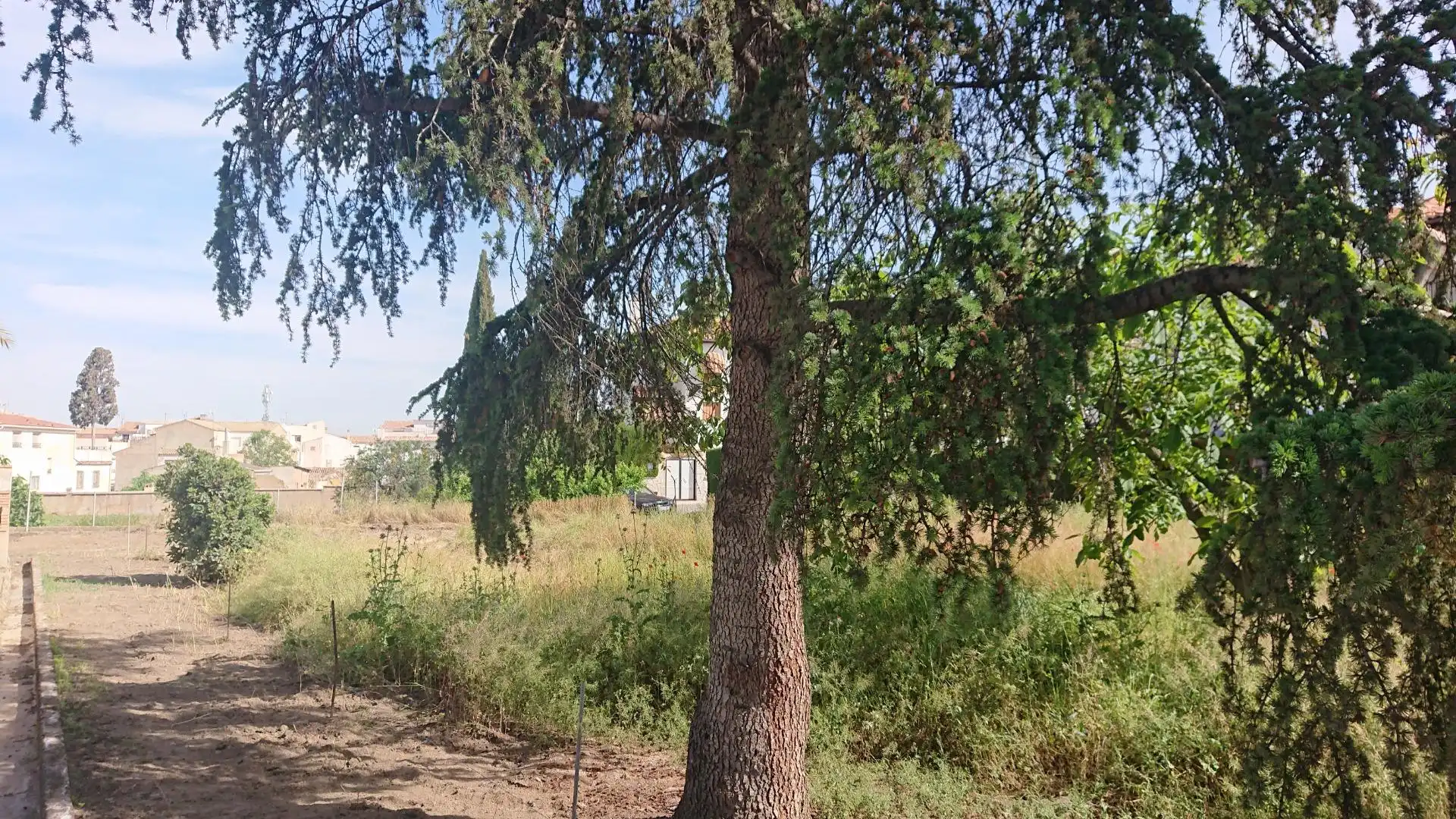 Grundstücke und Bauplätze zum Verkauf in Calle de los Huertos, imagen 7