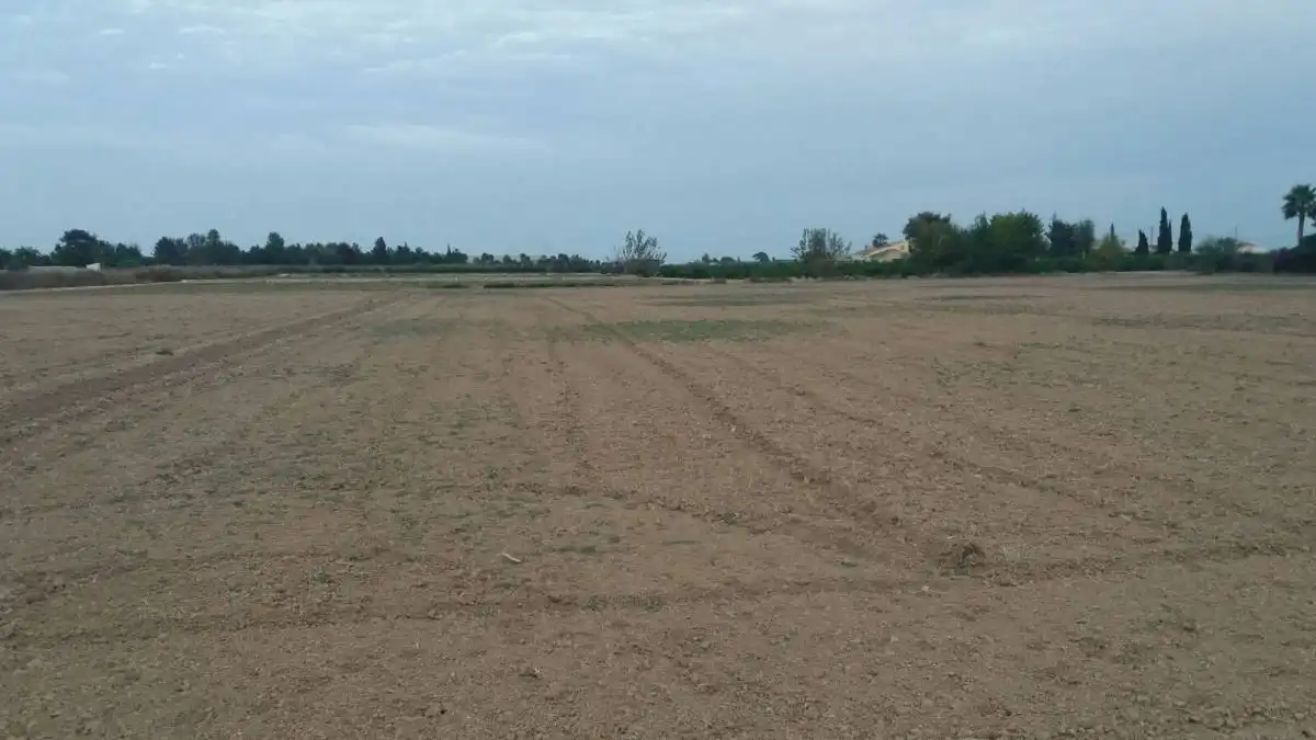 Terreni e lotti in vendita a Partida Santa Agueda, imagen 14