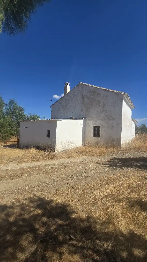 Terrain rustique à vendre à Las Vegas - Campoaras, imagen 9