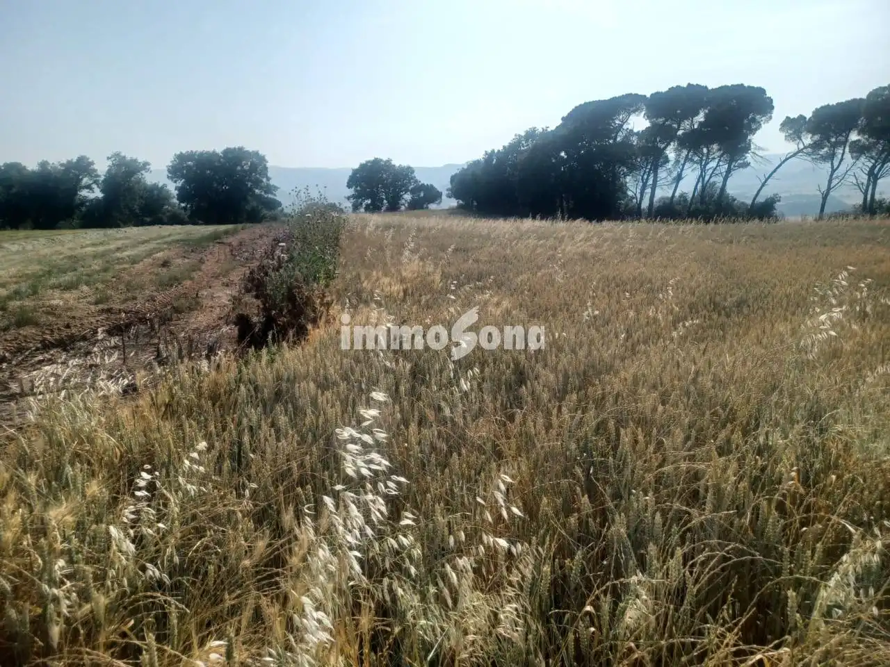 Rustikales Grundstück zum Verkauf in Taradell, imagen 4