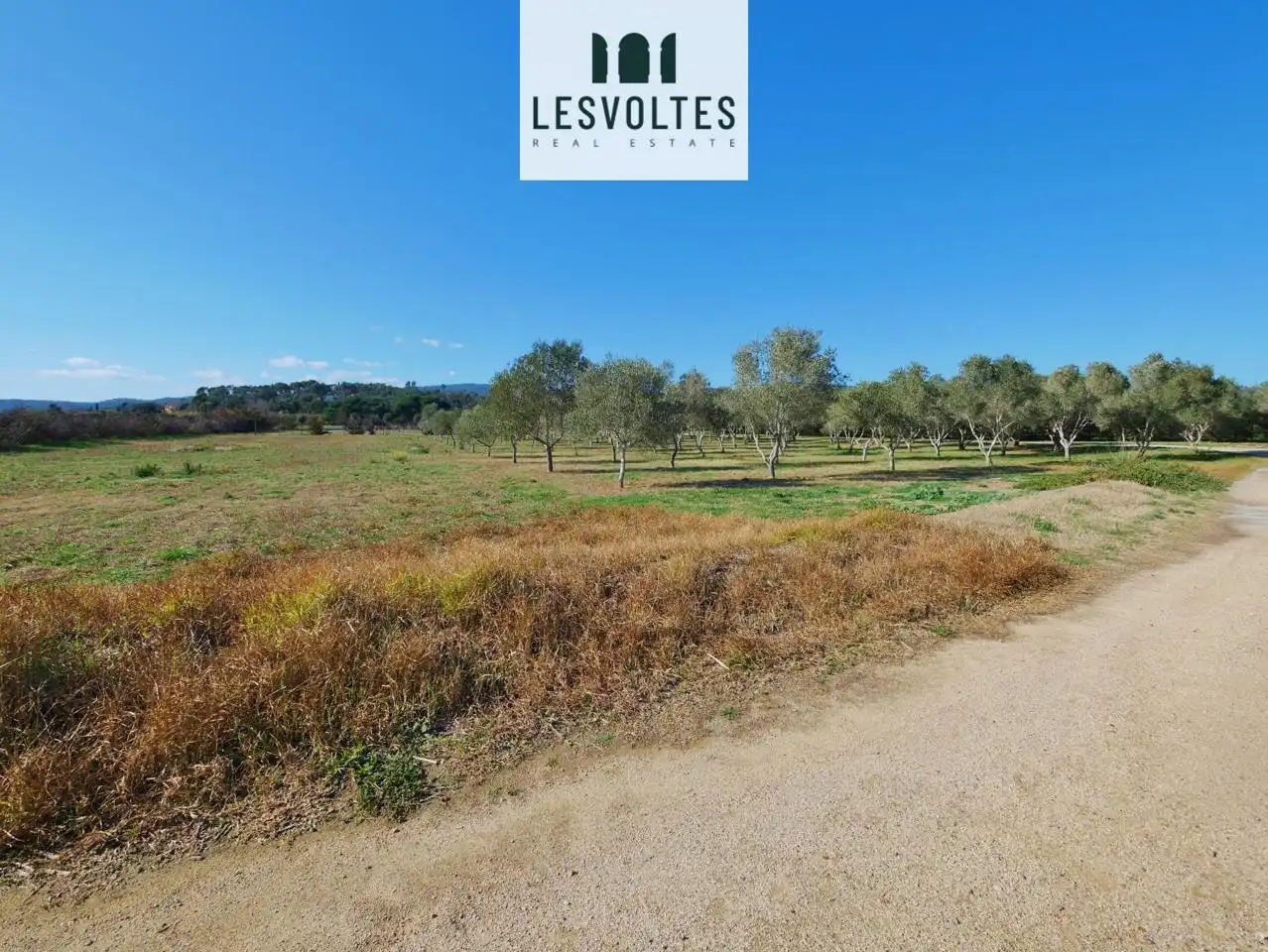 Lands and plots for sale in Camí Ral polígon 5 paecel.la, imagen 33