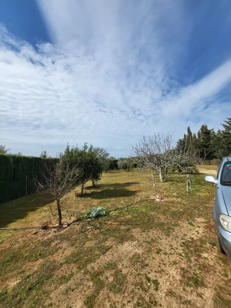 Finca rústica en venda en Medina Sidonia amb Calefacció, Jardí privat i Terrassa