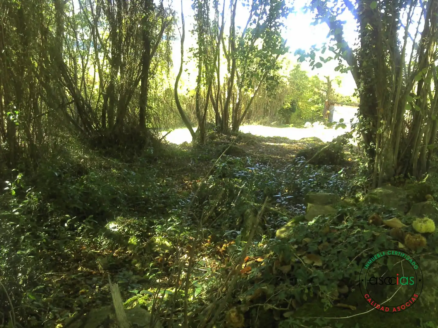 Terreno rustico in vendita a Gijón - BARRIO SAN PELAYO - CALDONES, imagen 19