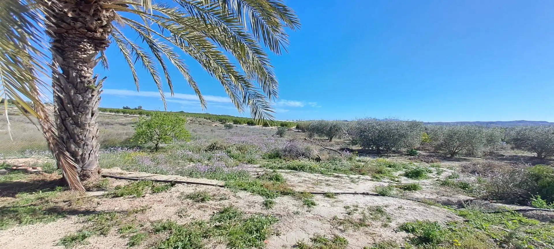 Casa o chalet en venta en Molina de Segura con Jardín privado y Trastero