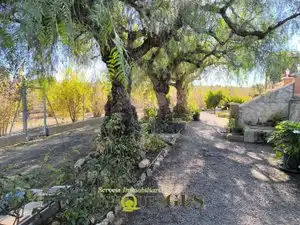 Finca rústica en venta en El Milà