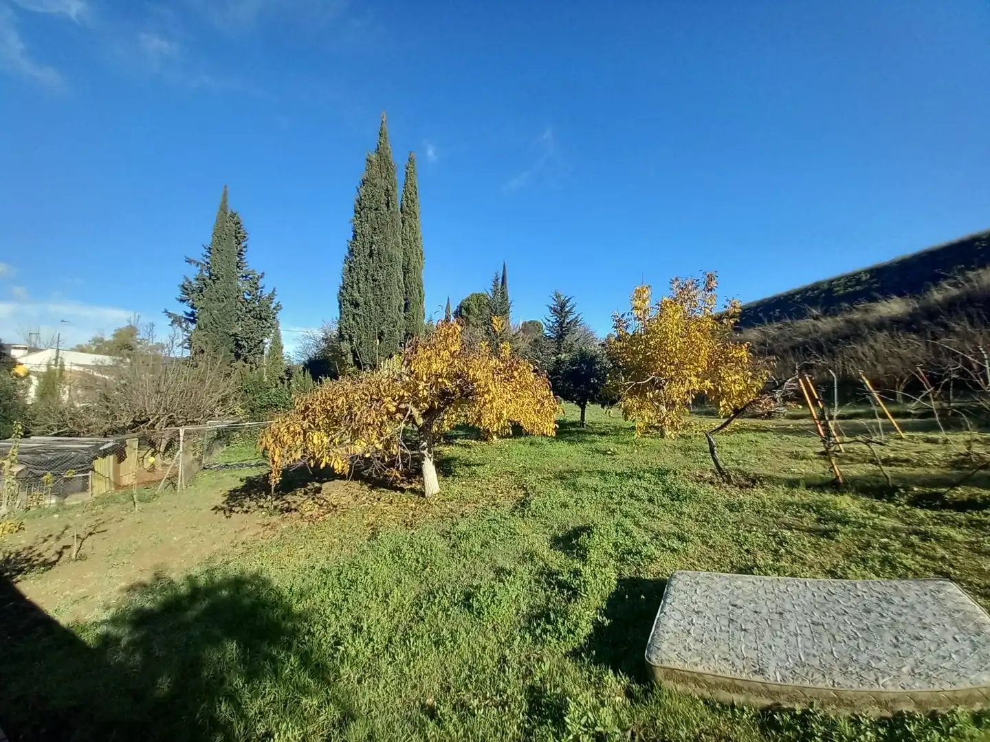 Finca rústica en venda a Partidas Norte