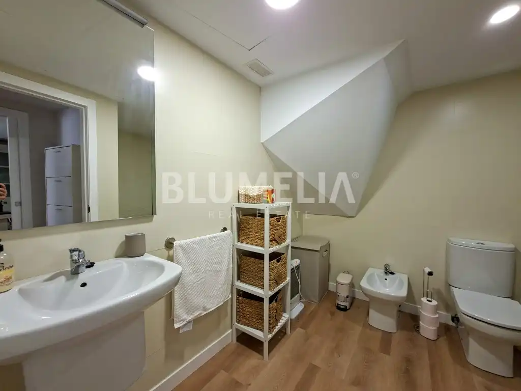 Apartments for rent in Centro Urbano