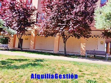 Business premises to rent in Avenida Príncipe de Asturias