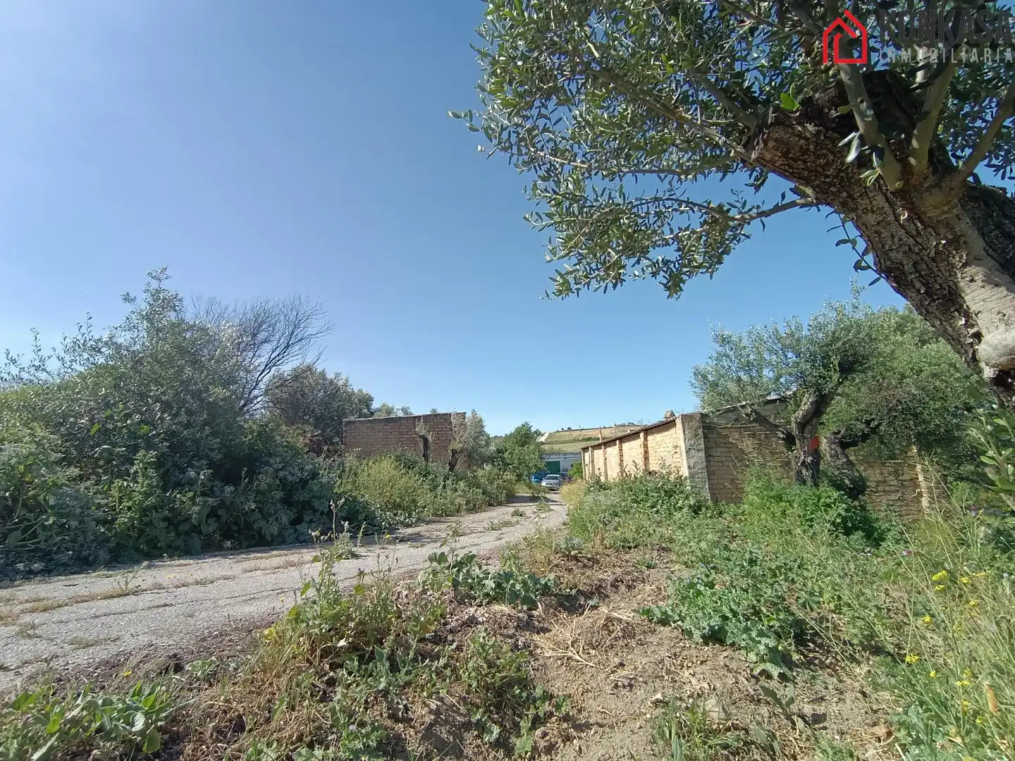 Casa rústica en venda a Arcos de la Frontera, imagen 24
