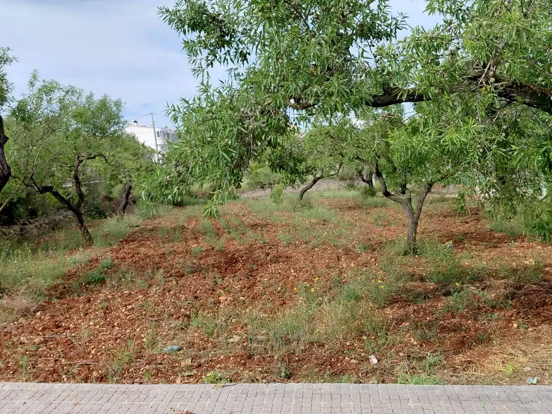 Terreno residencial en venta en san pedro 28