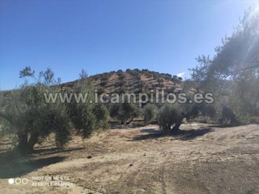 Terreno rustico in vendita a Calle TERMINO DE BAENA