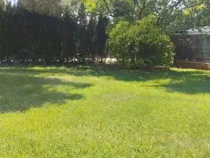 Casa amb piscina en venda a Rusia, imagen 2