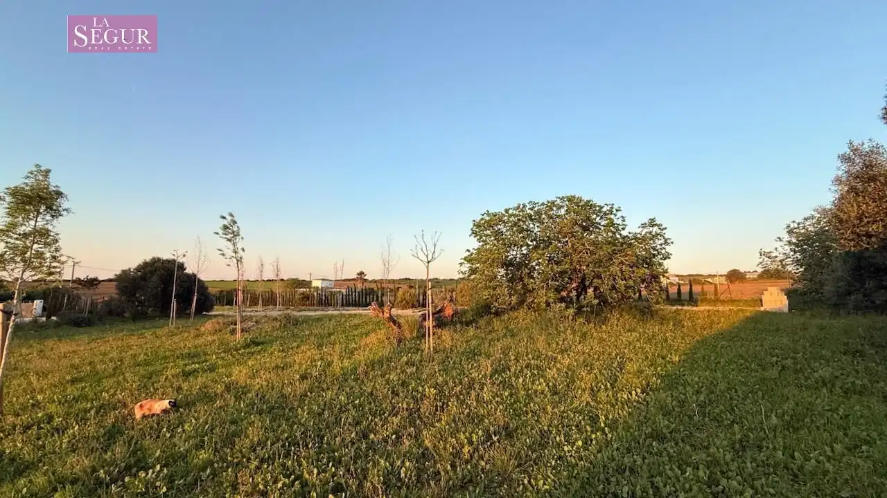 Casa rustica con giardino in vendita a Barrio Nuevo, imagen 50